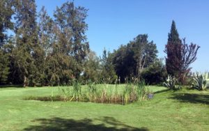 Green n°8 du Borgo Golf Club rénové