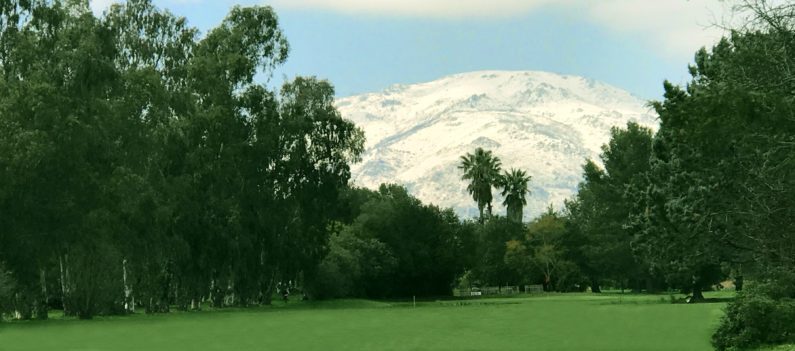 Borgo golf club trou 7